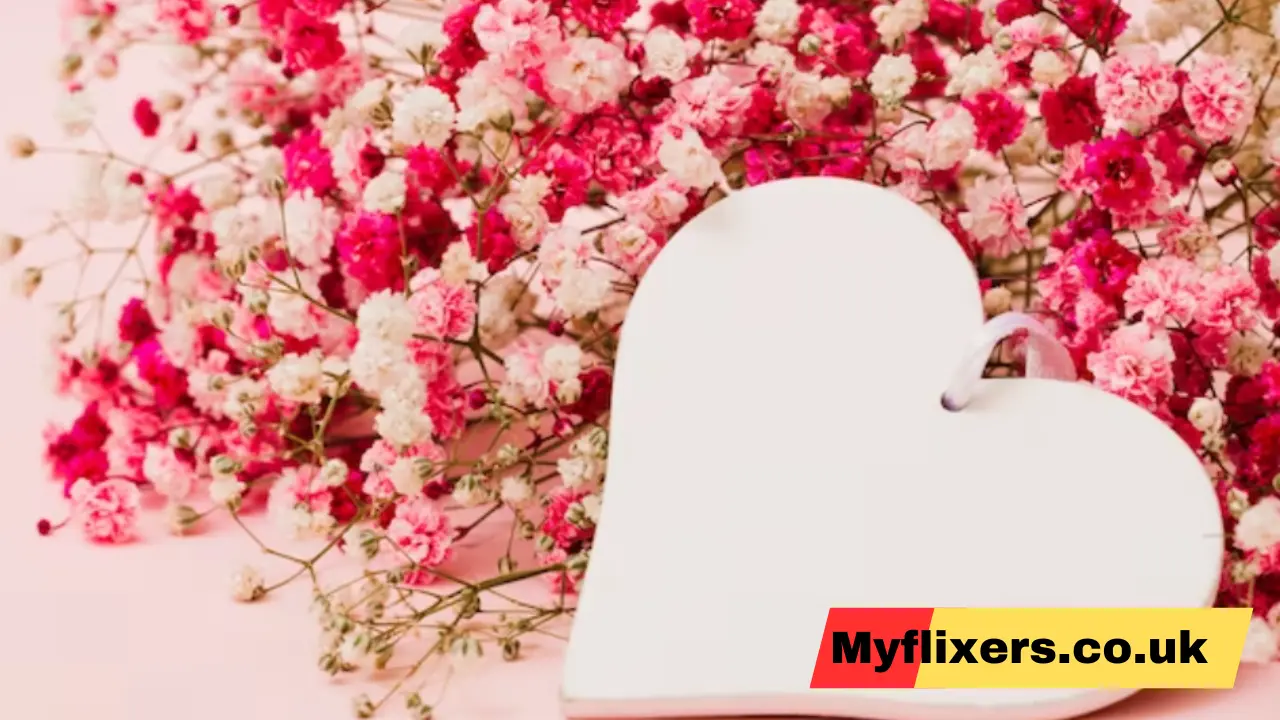 Kase Abusharkh Amy Berry Beginning Of Their Life Kase Abusharkh Amy Berry Beginning Of Their Life