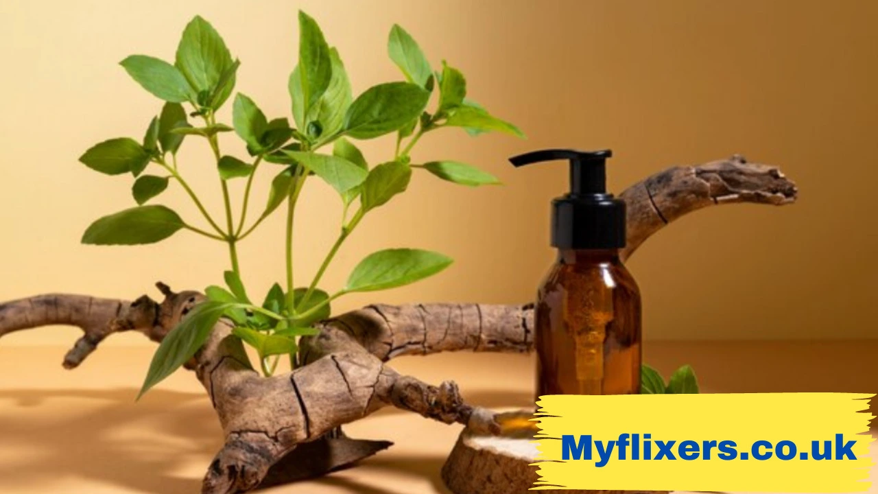 Ayurvedic Principles