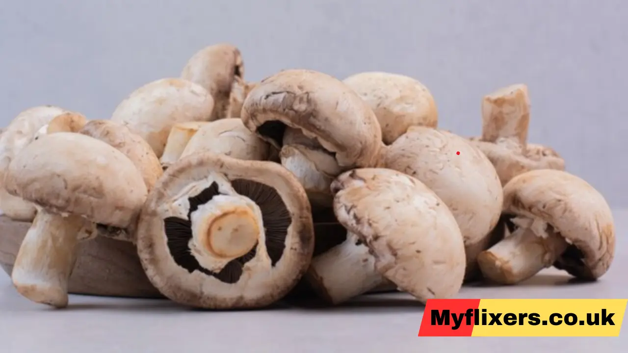 Mushrooms wellhealthorganic