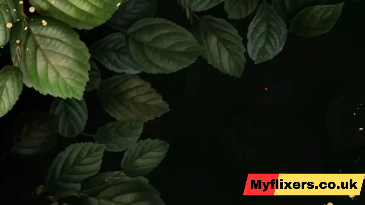 Dark Leafy Greens wellhealthorganic