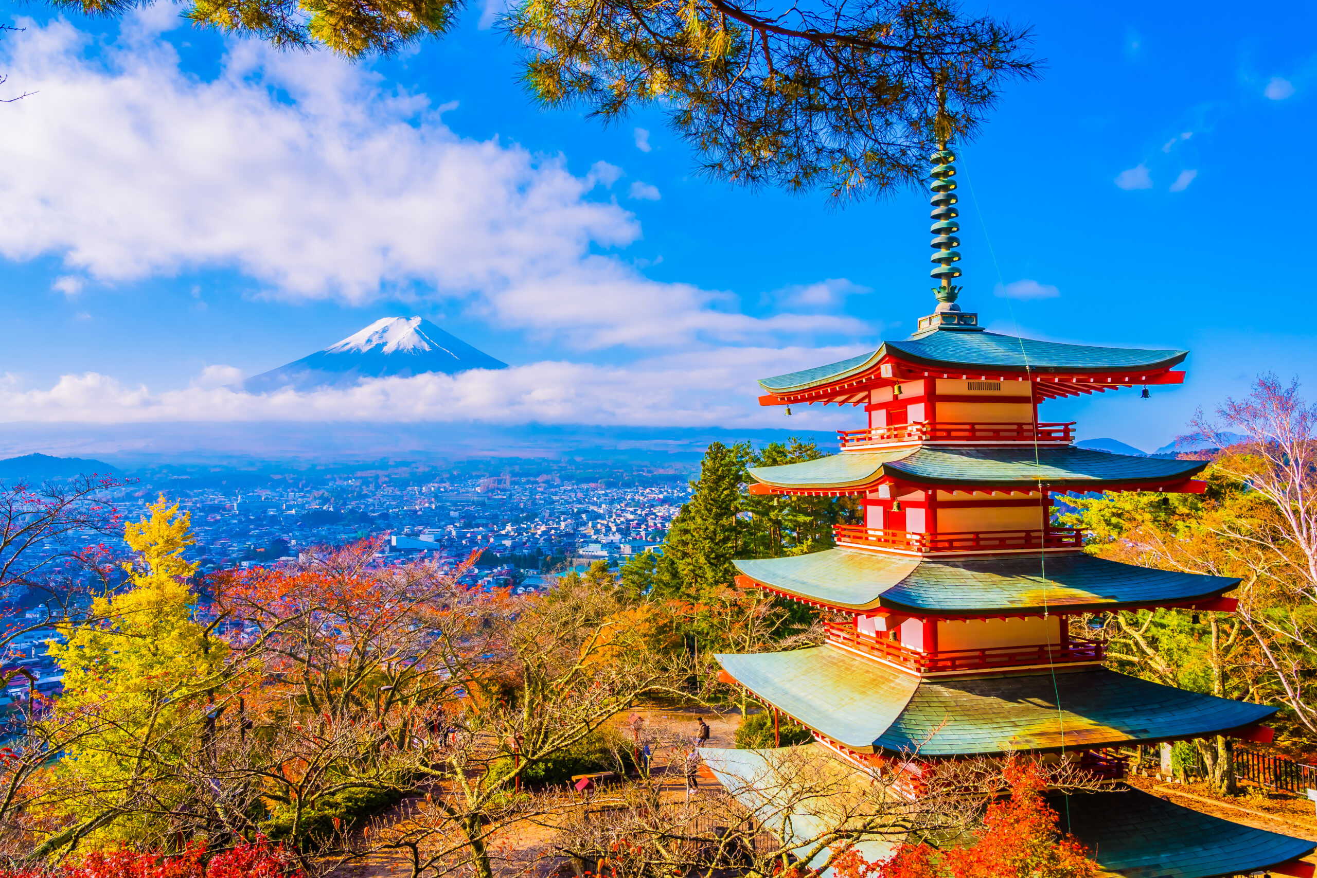 When To Visit Japan Best Times To Travel In 2024
